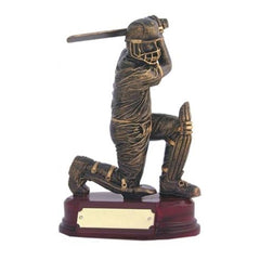 Cricket Batsman